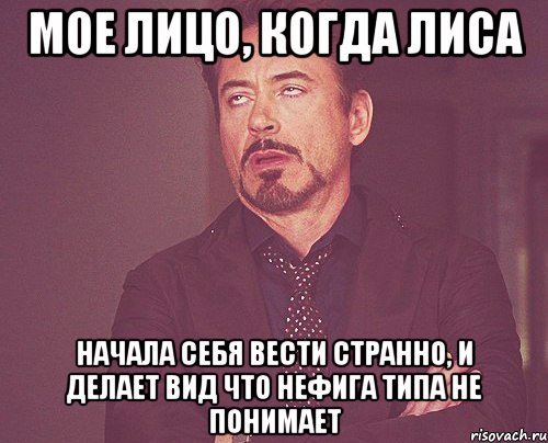 мое лицо, когда лиса начала себя вести странно, и делает вид что нефига типа не понимает, Мем твое выражение лица