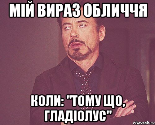 мій вираз обличчя коли: "тому що, гладіолус", Мем твое выражение лица