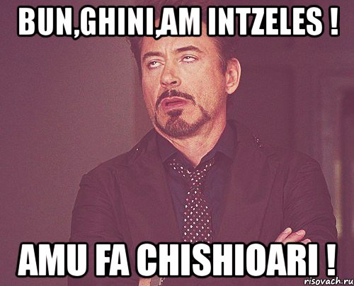 bun,ghini,am intzeles ! amu fa chishioari !, Мем твое выражение лица