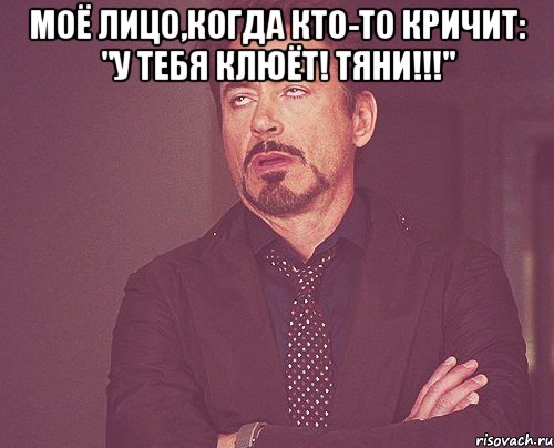 моё лицо,когда кто-то кричит: "у тебя клюёт! тяни!!!" , Мем твое выражение лица