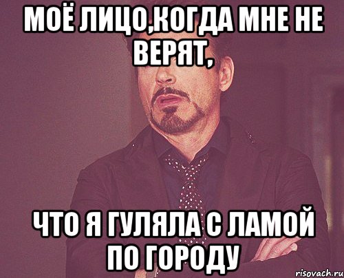 моё лицо,когда мне не верят, что я гуляла с ламой по городу, Мем твое выражение лица