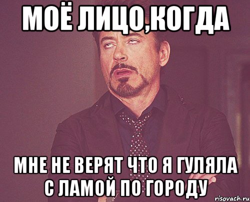 моё лицо,когда мне не верят что я гуляла с ламой по городу, Мем твое выражение лица