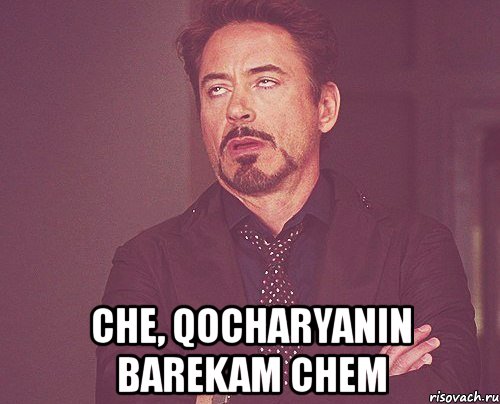  che, qocharyanin barekam chem, Мем твое выражение лица