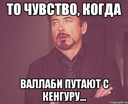 то чувство, когда валлаби путают с кенгуру..., Мем твое выражение лица