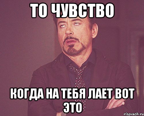 то чувство когда на тебя лает вот это, Мем твое выражение лица