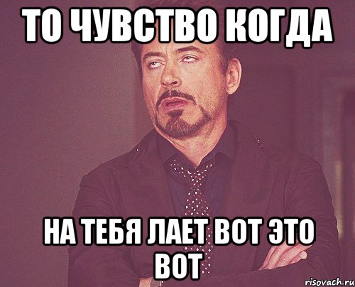 то чувство когда на тебя лает вот это вот, Мем твое выражение лица