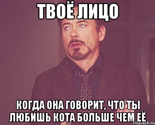 твоё лицо когда она говорит, что ты любишь кота больше чем её, Мем твое выражение лица