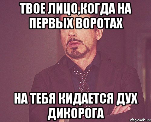 твое лицо,когда на первых воротах на тебя кидается дух дикорога, Мем твое выражение лица