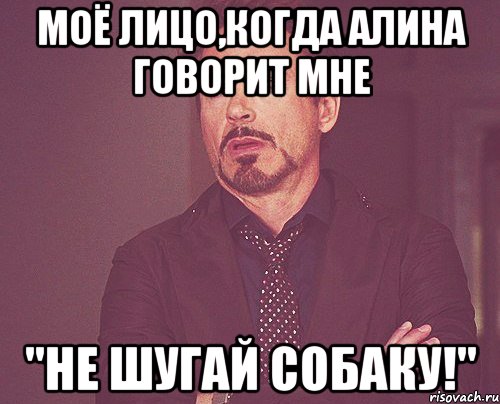 моё лицо,когда алина говорит мне "не шугай собаку!", Мем твое выражение лица