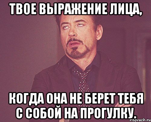 твое выражение лица, когда она не берет тебя с собой на прогулку., Мем твое выражение лица