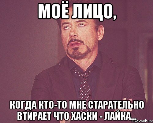 моё лицо, когда кто-то мне старательно втирает что хаски - лайка..., Мем твое выражение лица