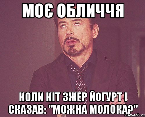 моє обличчя коли кіт зжер йогурт і сказав: "можна молока?", Мем твое выражение лица