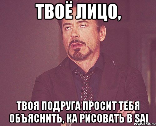 твоё лицо, твоя подруга просит тебя объяснить, ка рисовать в sai, Мем твое выражение лица