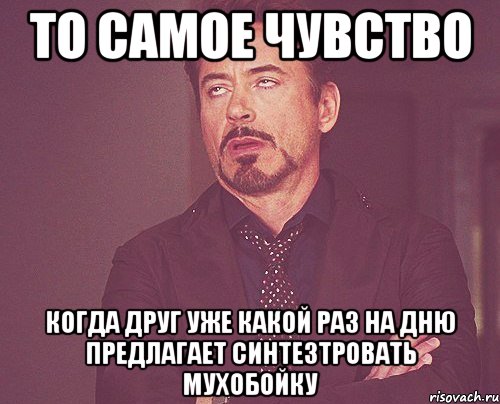 то самое чувство когда друг уже какой раз на дню предлагает синтезтровать мухобойку, Мем твое выражение лица