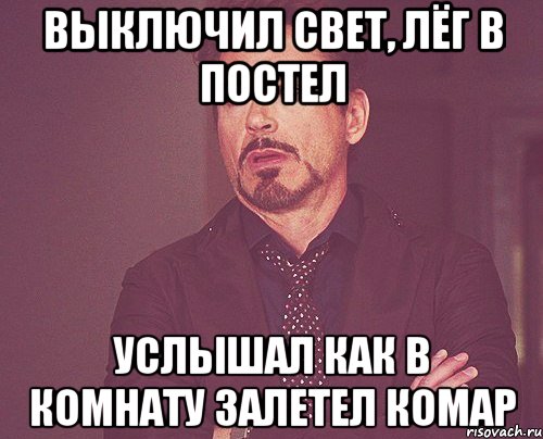 выключил свет, лёг в постел услышал как в комнату залетел комар, Мем твое выражение лица