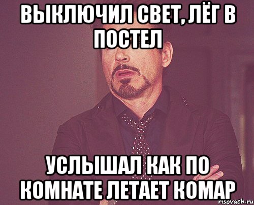 выключил свет, лёг в постел услышал как по комнате летает комар, Мем твое выражение лица