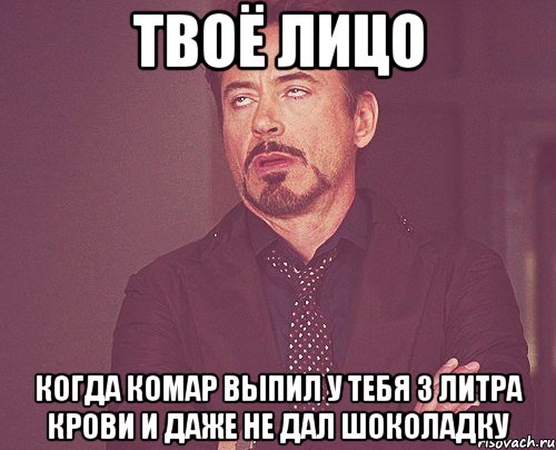 твоё лицо когда комар выпил у тебя 3 литра крови и даже не дал шоколадку, Мем твое выражение лица