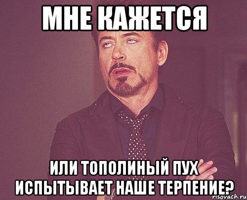 мне кажется или тополиный пух испытывает наше терпение?, Мем твое выражение лица