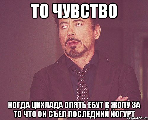 то чувство когда цихлада опять ебут в жопу за то что он съел последний йогурт, Мем твое выражение лица