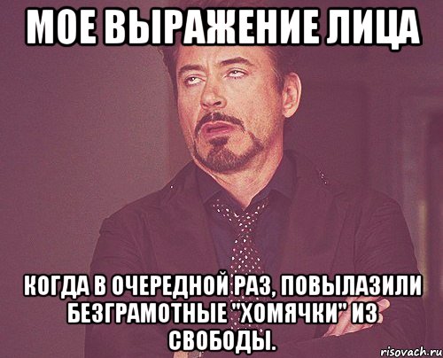 мое выражение лица когда в очередной раз, повылазили безграмотные "хомячки" из свободы., Мем твое выражение лица