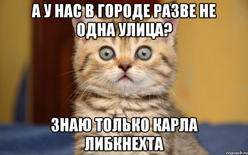 а у нас в городе разве не одна улица? знаю только карла либкнехта, Мем  удивление