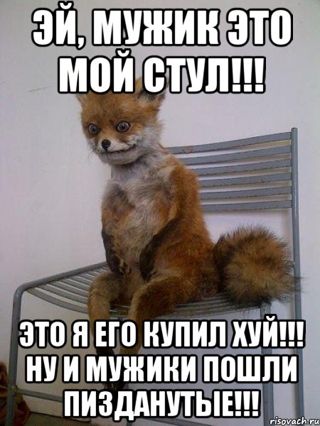 эй, мужик это мой стул!!! это я его купил хуй!!! ну и мужики пошли пизданутые!!!, Мем Упоротая лиса