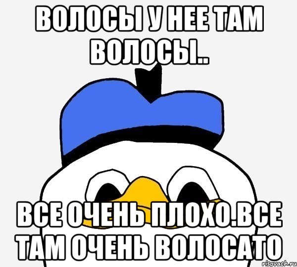 волосы у нее там волосы.. все очень плохо.все там очень волосато, Мем Утка