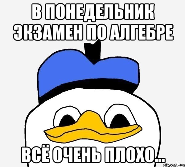 в понедельник экзамен по алгебре всё очень плохо..., Мем Утка