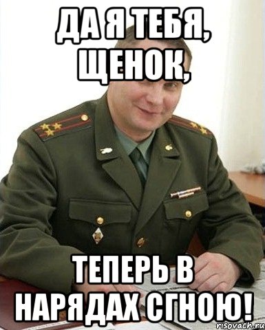 да я тебя, щенок, теперь в нарядах сгною!, Мем Военком (полковник)