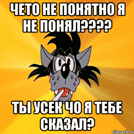 чето не понятно я не понял??? ты усек чо я тебе сказал?, Мем Волк