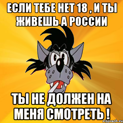 если тебе нет 18 , и ты живешь а россии ты не должен на меня смотреть !, Мем Волк