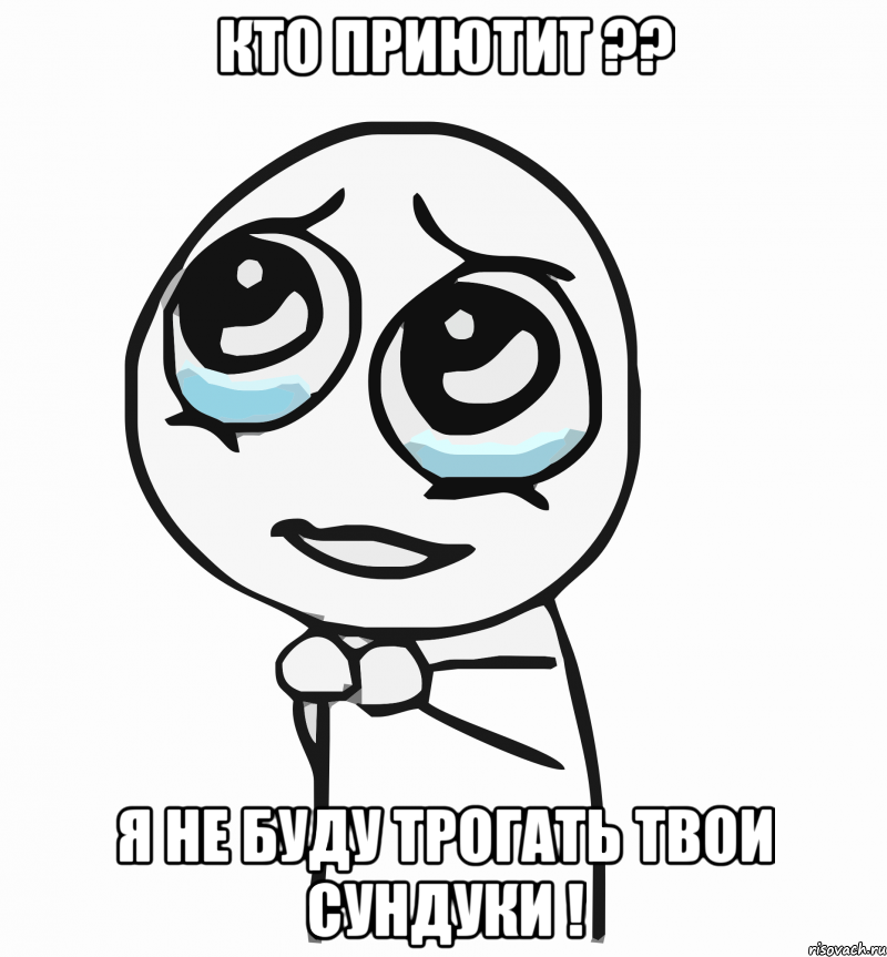 кто приютит ?? я не буду трогать твои сундуки !, Мем  ну пожалуйста (please)