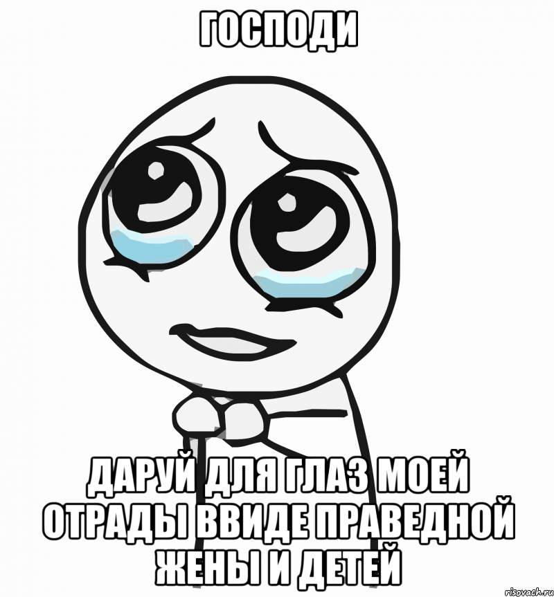 господи даруй для глаз моей отрады ввиде праведной жены и детей, Мем  ну пожалуйста (please)