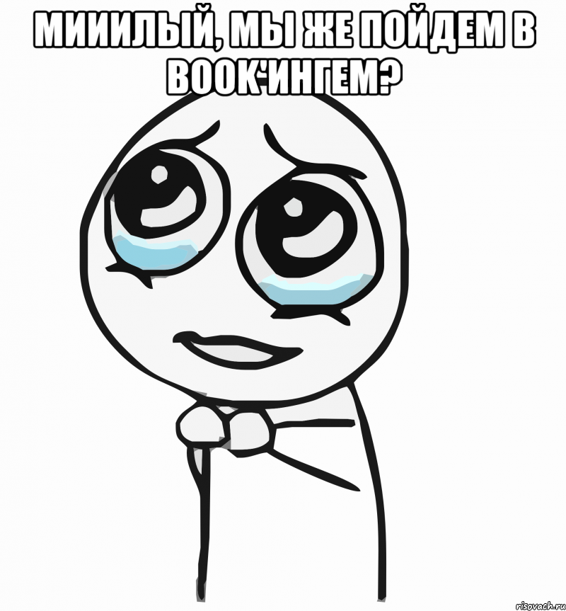 мииилый, мы же пойдем в book'ингем? , Мем  ну пожалуйста (please)