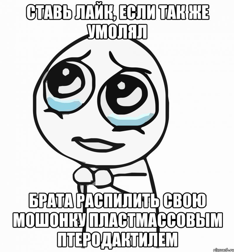 ставь лайк, если так же умолял брата распилить свою мошонку пластмассовым птеродактилем, Мем  ну пожалуйста (please)