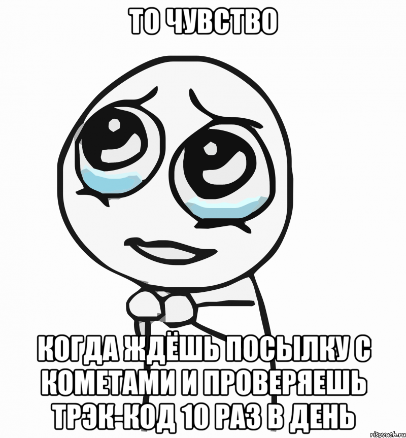 то чувство когда ждёшь посылку с кометами и проверяешь трэк-код 10 раз в день, Мем  ну пожалуйста (please)