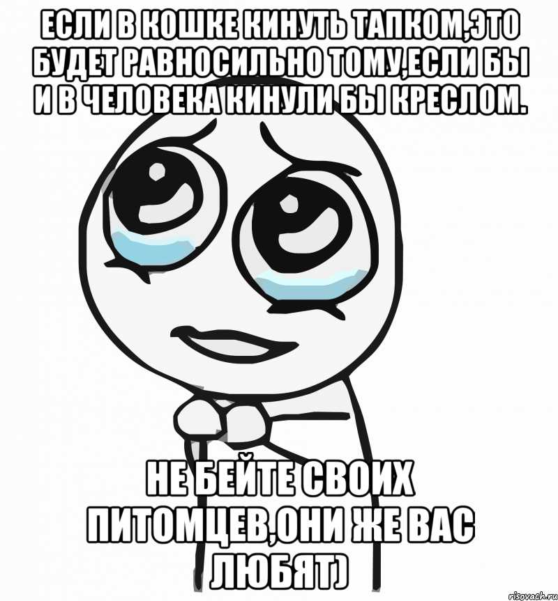 если в кошке кинуть тапком,это будет равносильно тому,если бы и в человека кинули бы креслом. не бейте своих питомцев,они же вас любят), Мем  ну пожалуйста (please)