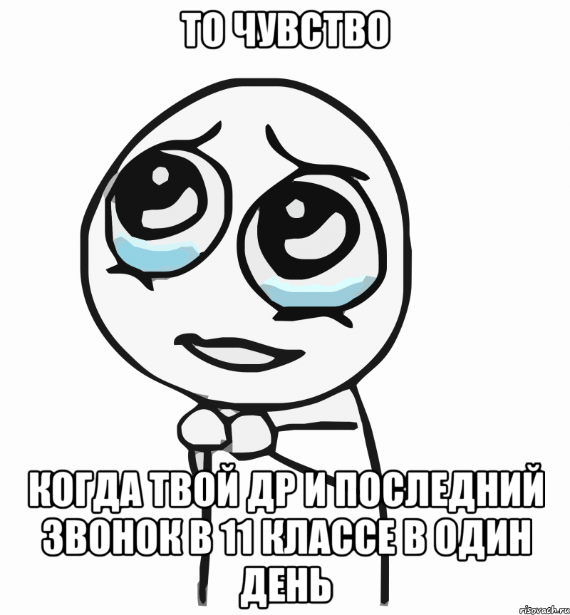 то чувство когда твой др и последний звонок в 11 классе в один день, Мем  ну пожалуйста (please)