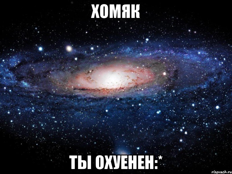 хомяк ты охуенен:*, Мем Вселенная