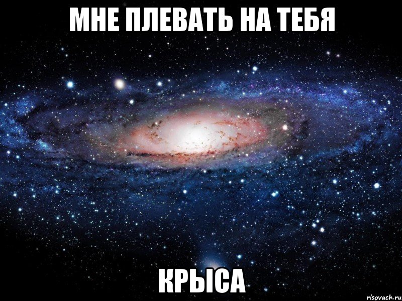 мне плевать на тебя крыса, Мем Вселенная