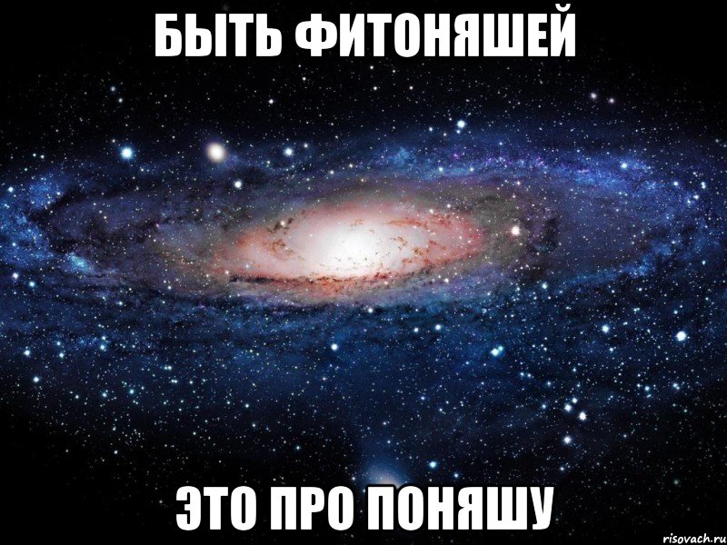 быть фитоняшей это про поняшу, Мем Вселенная