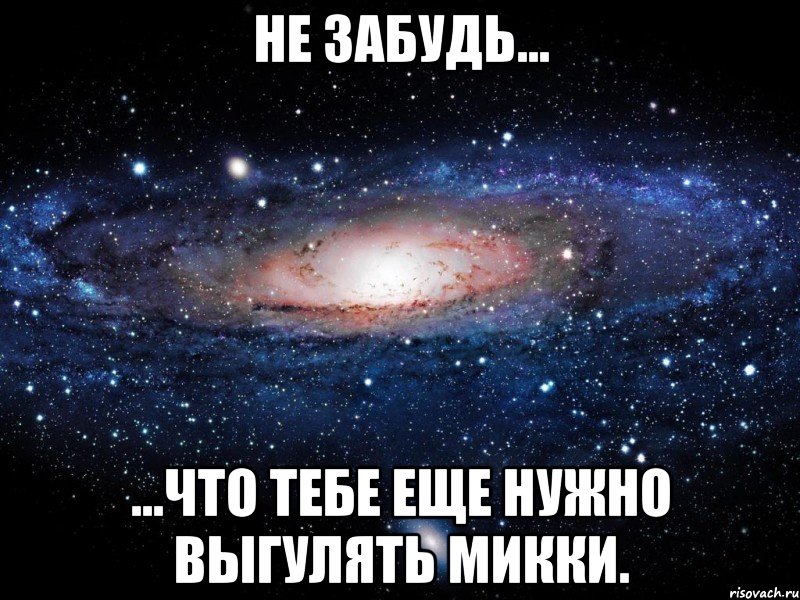 не забудь... ...что тебе еще нужно выгулять микки., Мем Вселенная