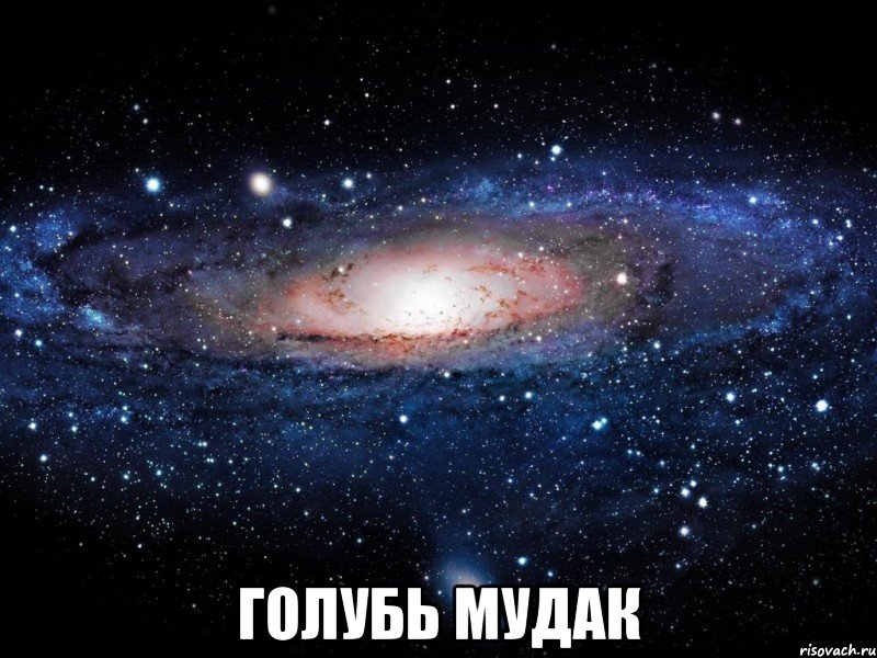  голубь мудак, Мем Вселенная