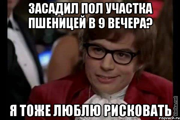 засадил пол участка пшеницей в 9 вечера? я тоже люблю рисковать, Мем Остин Пауэрс (я тоже люблю рисковать)