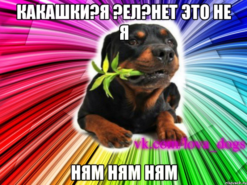 какашки?я ?ел?нет это не я ням ням ням, Мем Я твоя собака