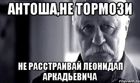 антоша,не тормози не расстраивай леонидап аркадьевича, Мем Не огорчай Леонида Аркадьевича