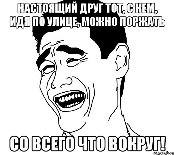 настоящий друг тот, с кем, идя по улице, можно поржать со всего что вокруг!, Мем Яо минг