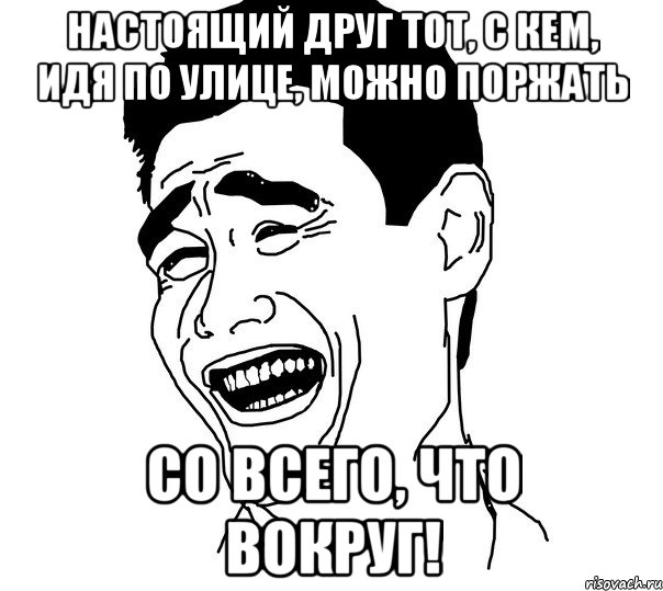 настоящий друг тот, с кем, идя по улице, можно поржать со всего, что вокруг!, Мем Яо минг