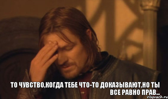 То чувство,когда тебе что-то доказывают,но ты все равно прав..., Мем Закрывает лицо