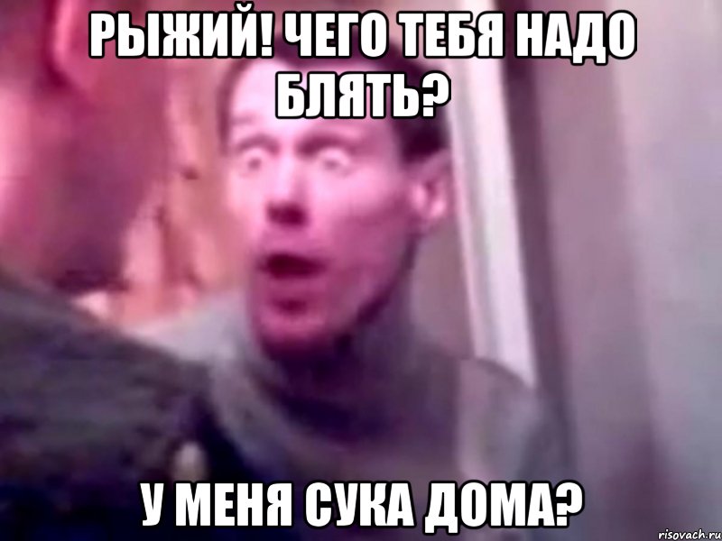 рыжий! чего тебя надо блять? у меня сука дома?, Мем Запили